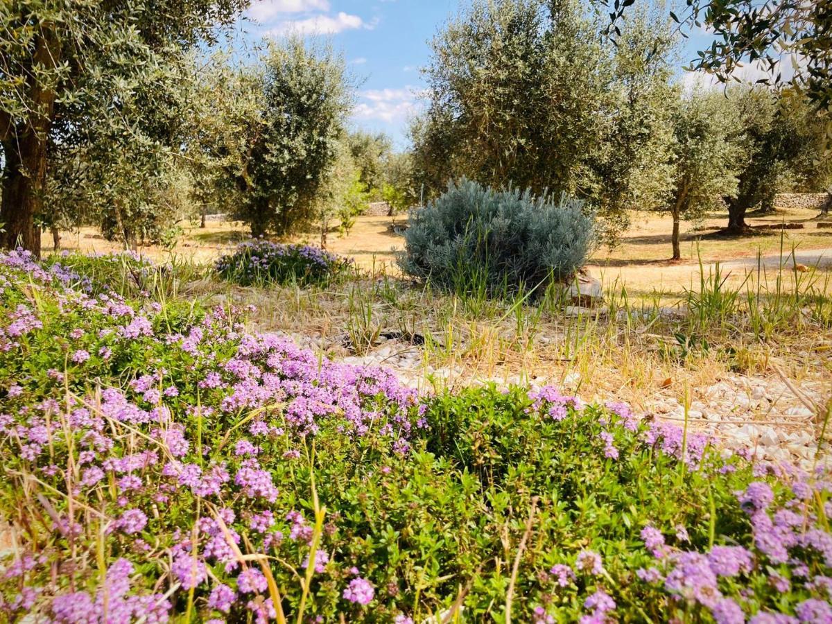 Villa Trulli Acquasala - Apulian Country Experience Ostuni Exterior foto
